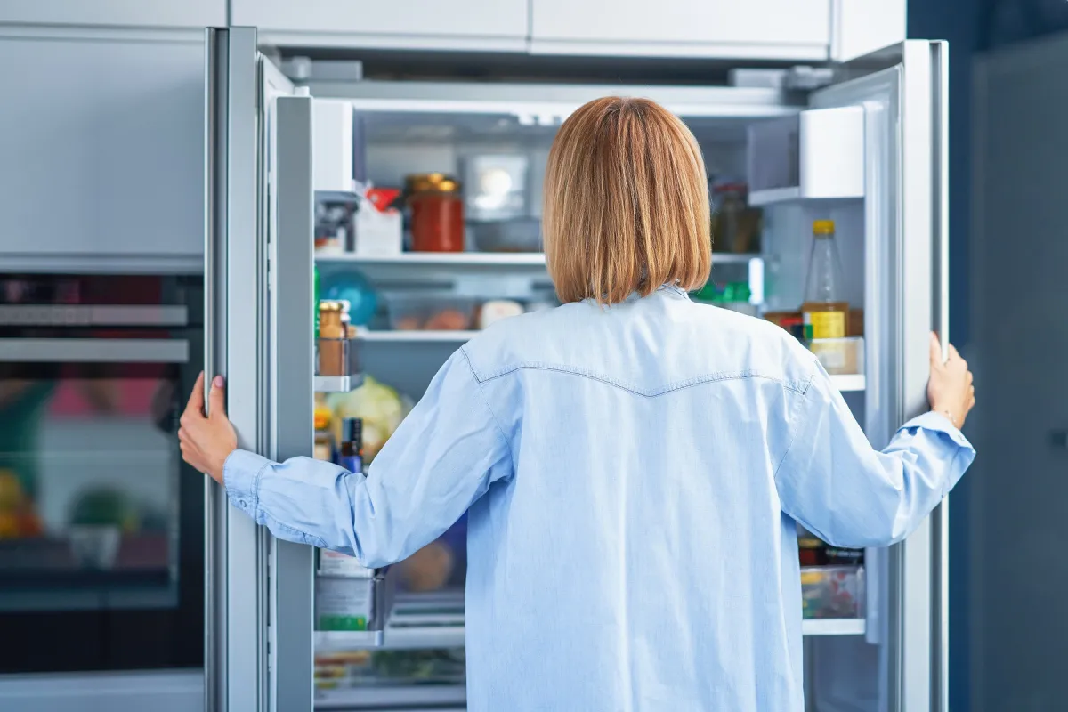 Kako izbrati hladilnik?